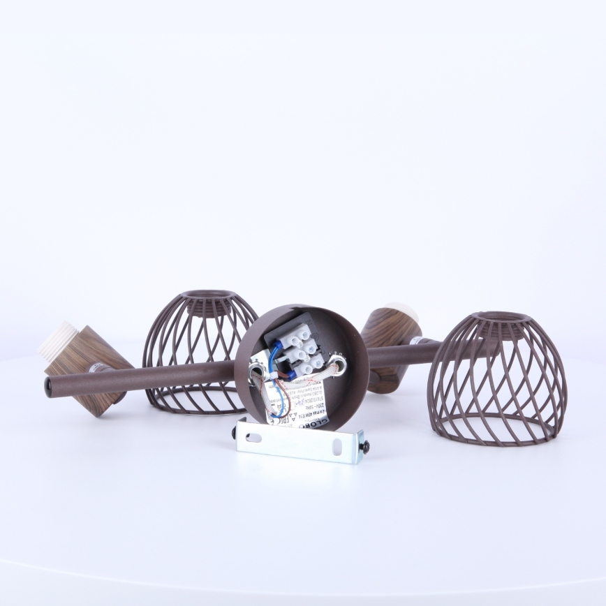 Globo 54817-2 - Reflektor ISABELLE 2xE14/40W/230V