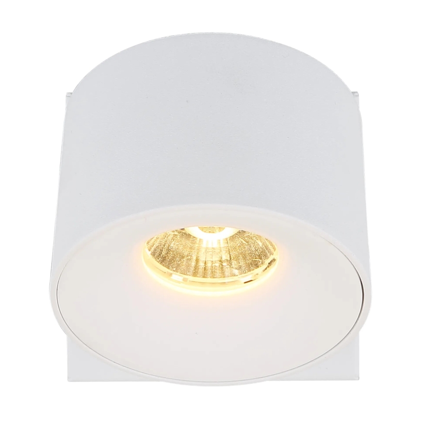 Globo - LED Stenski reflektor LED/6W/230V bela