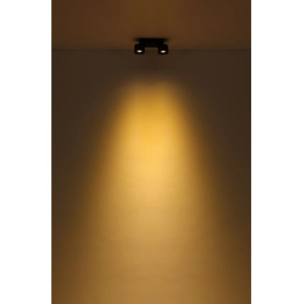 Globo - LED Reflektor 2xLED/6W/230V črna