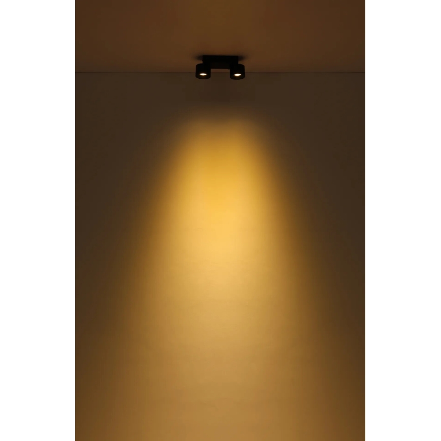 Globo - LED Reflektor 2xLED/6W/230V črna