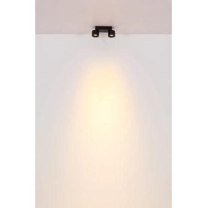 Globo - LED Reflektor 2xLED/6W/230V črna