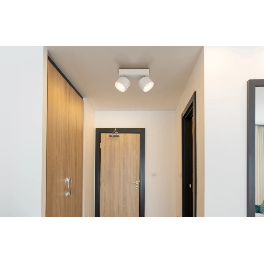 Globo - LED točkovna svetilka 2xLED/6W/230V