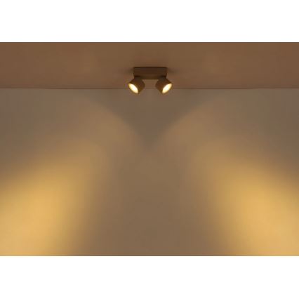 Globo - LED točkovna svetilka 2xLED/6W/230V