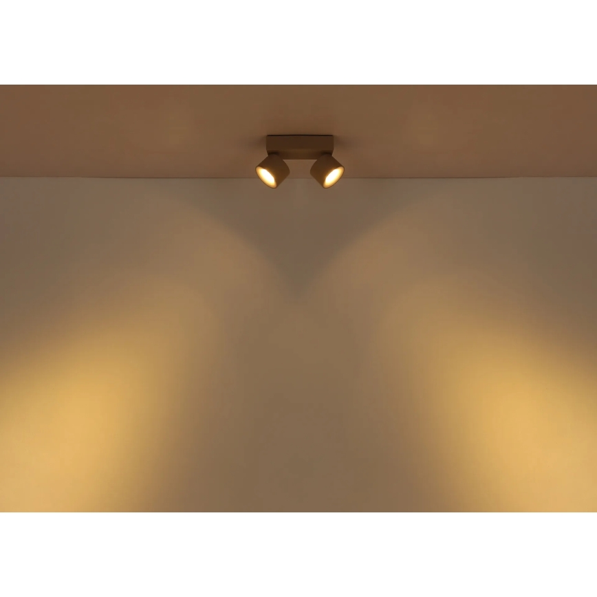 Globo - LED točkovna svetilka 2xLED/6W/230V