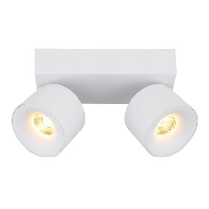 Globo - LED Reflektor 2xLED/6W/230V bela