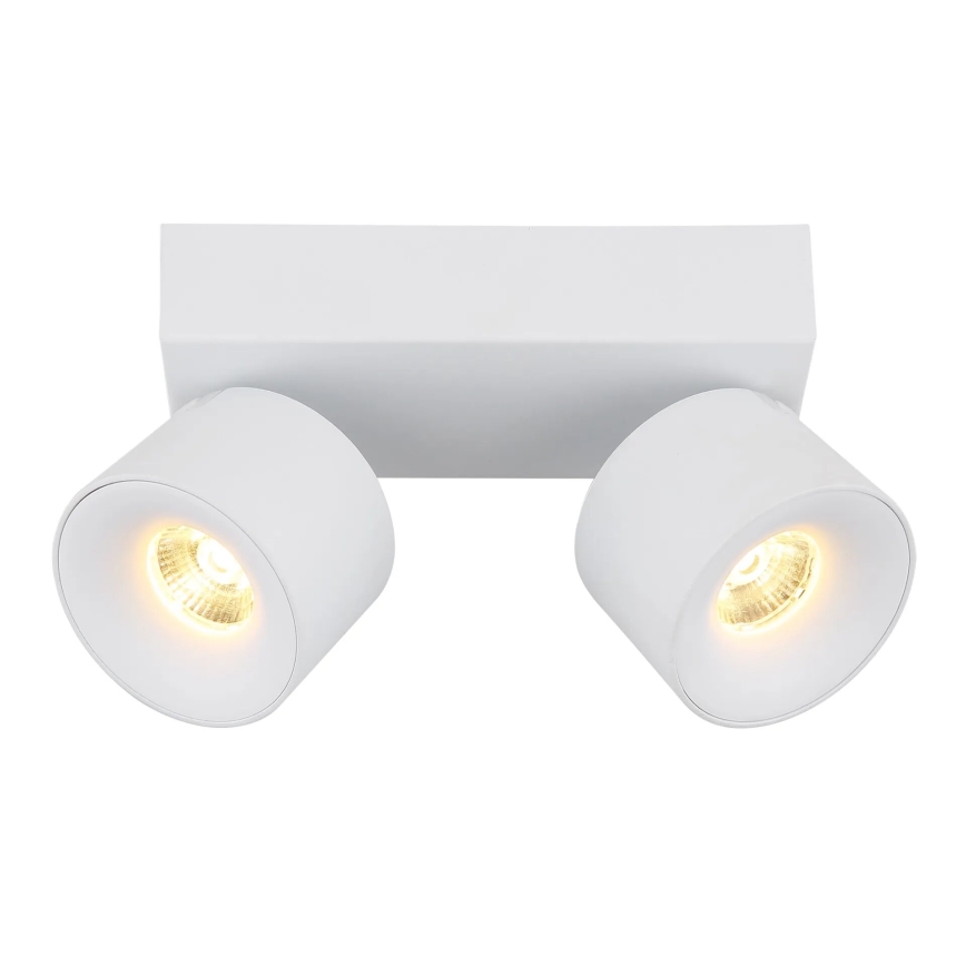 Globo - LED Reflektor 2xLED/6W/230V bela