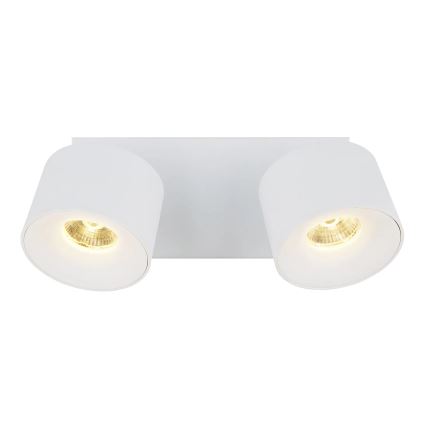 Globo - LED Reflektor 2xLED/6W/230V bela