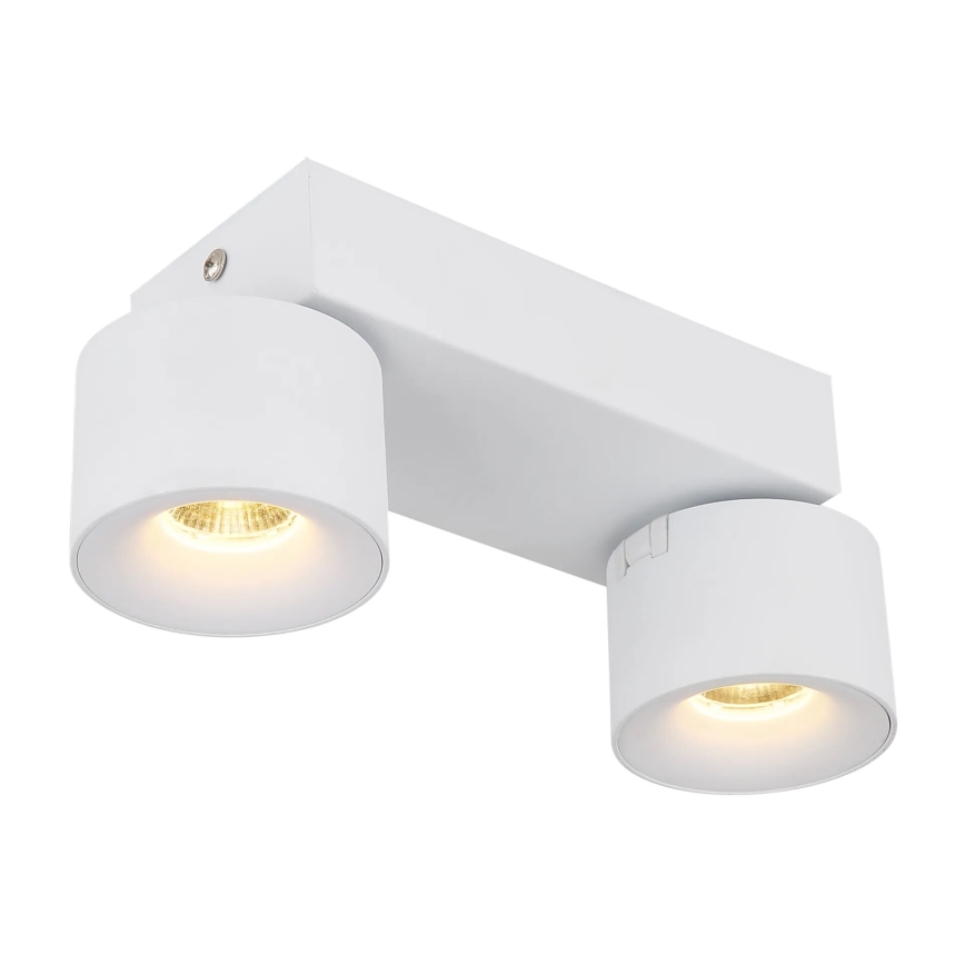 Globo - LED Reflektor 2xLED/6W/230V bela