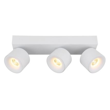 Globo - LED Reflektor 3xLED/6W/230V bela