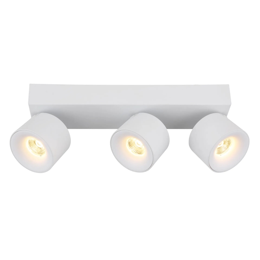 Globo - LED Reflektor 3xLED/6W/230V bela