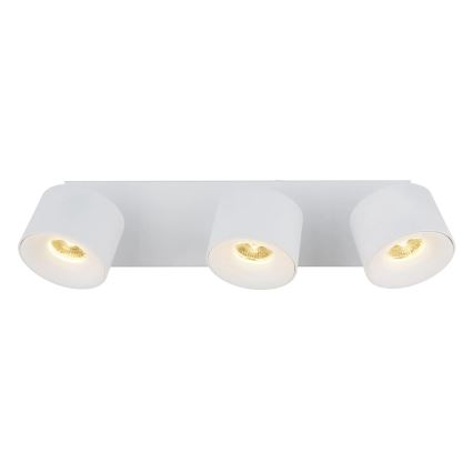 Globo - LED Reflektor 3xLED/6W/230V bela
