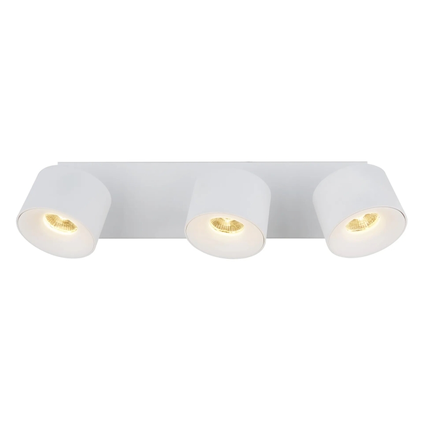 Globo - LED Reflektor 3xLED/6W/230V bela
