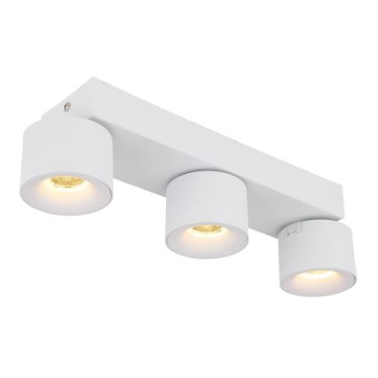 Globo - LED Reflektor 3xLED/6W/230V bela