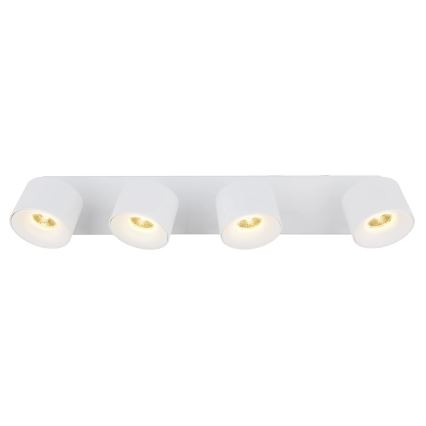Globo - LED Reflektor 4xLED/6W/230V bela