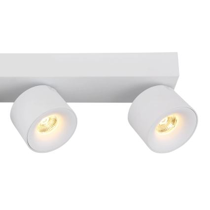Globo - LED Reflektor 4xLED/6W/230V bela