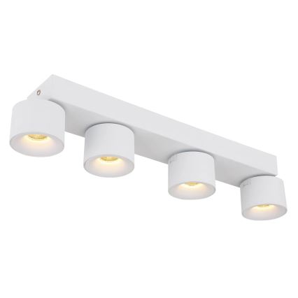 Globo - LED Reflektor 4xLED/6W/230V bela