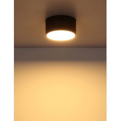 Globo - LED stropna svetilka LED/12W/230V 3000K Ø 15 cm črna