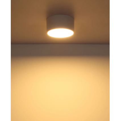 Globo - LED stropna svetilka LED/12W/230V 3000K, premer 15 cm, bela