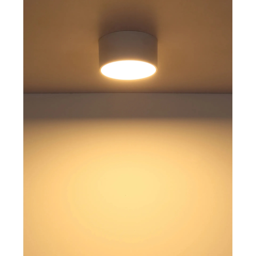 Globo - LED stropna svetilka LED/12W/230V 3000K, premer 15 cm, bela