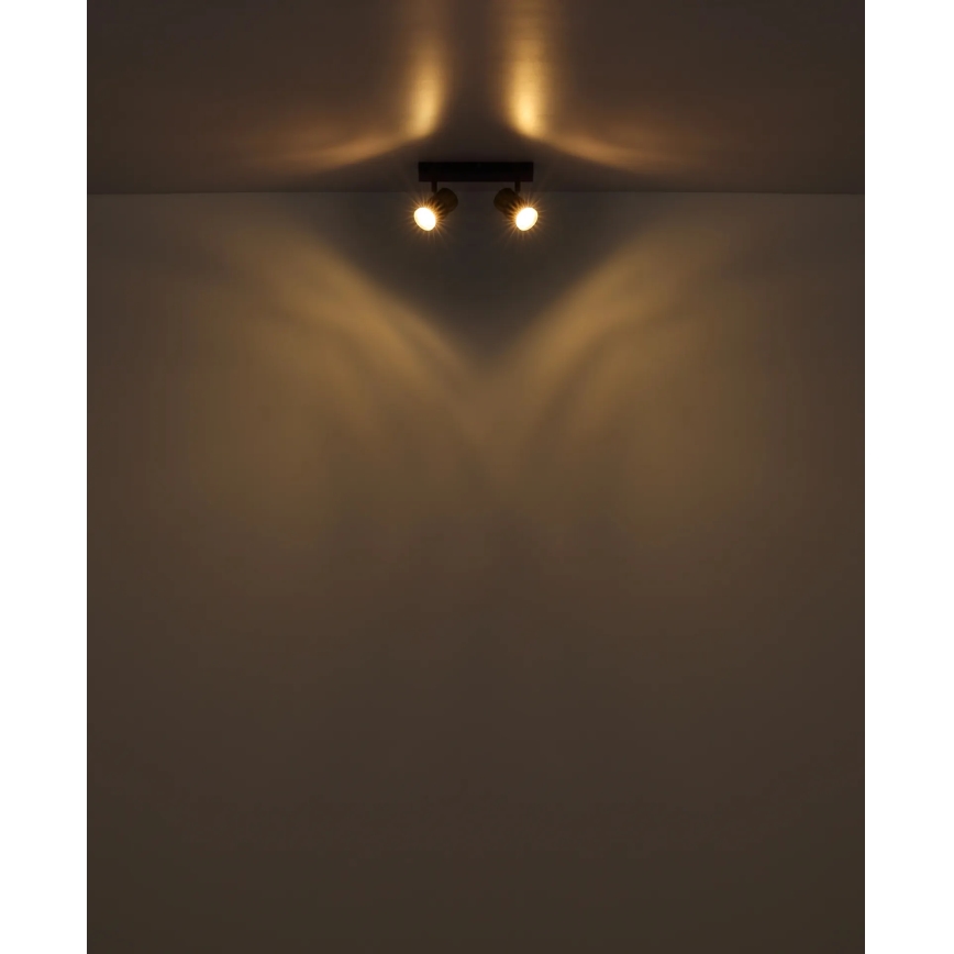 Globo - Reflektor 2xGU10/25W/230V bela/mat krom