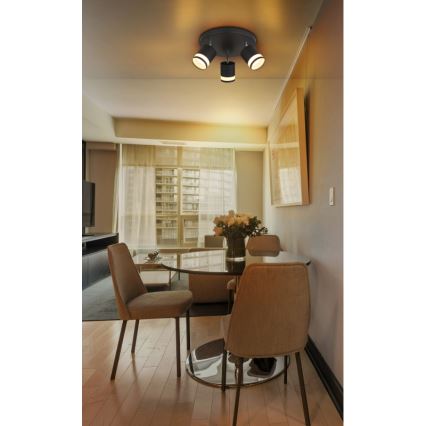 Globo - LED Reflektor 3xGX53/7W/230V 3000K