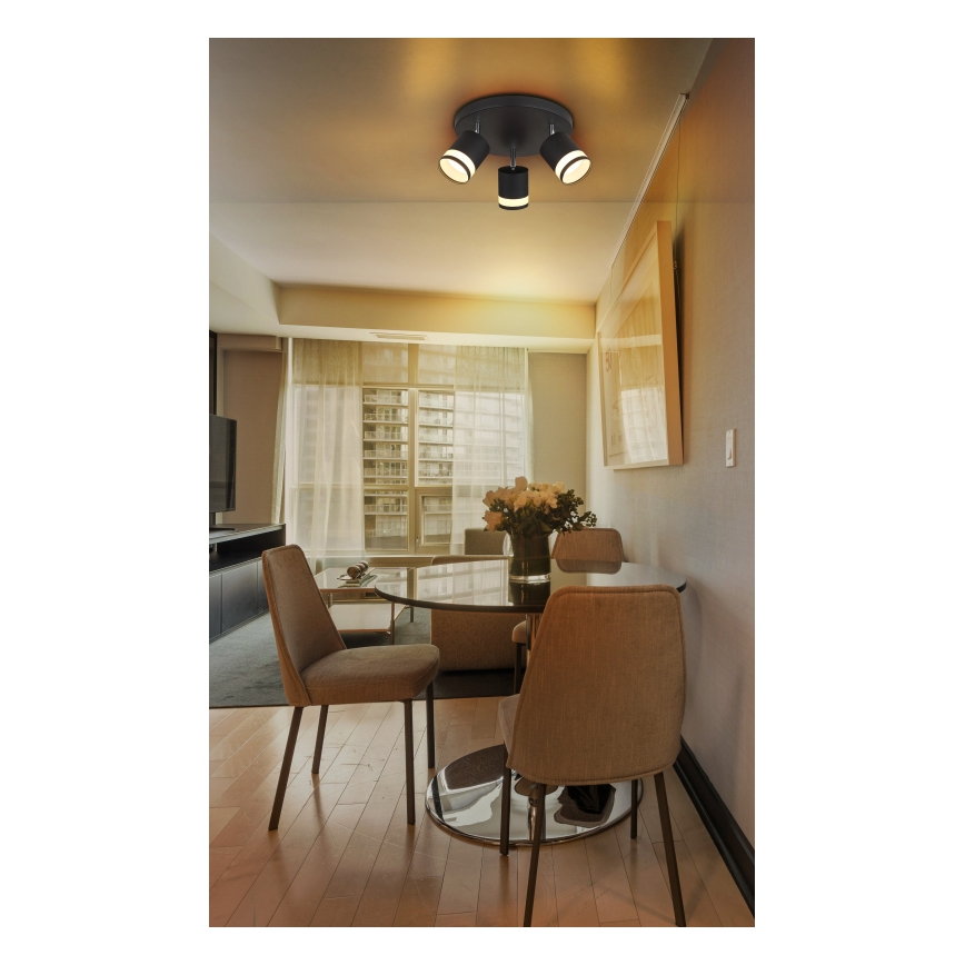 Globo - LED Reflektor 3xGX53/7W/230V 3000K