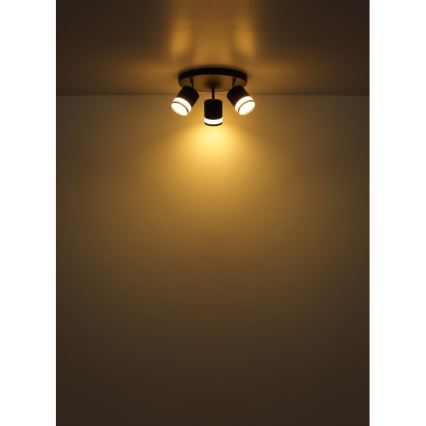 Globo - LED Reflektor 3xGX53/7W/230V 3000K