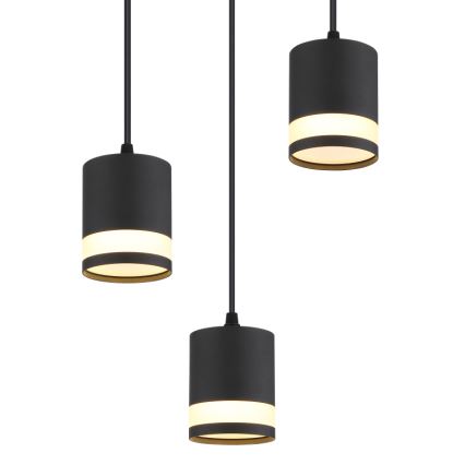 Globo - LED Lestenec na vrvici 3xGX53/7W/230V 3000K črna