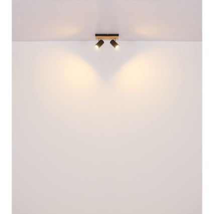 Globo - Reflektor 2xGU10/25W/230V črna