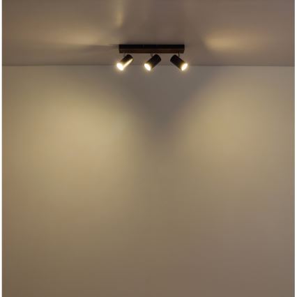 Globo - Reflektor 3xGU10/25W/230V črna