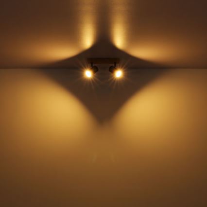 Globo - Reflektor 2xGU10/35W/230V siva/rjava