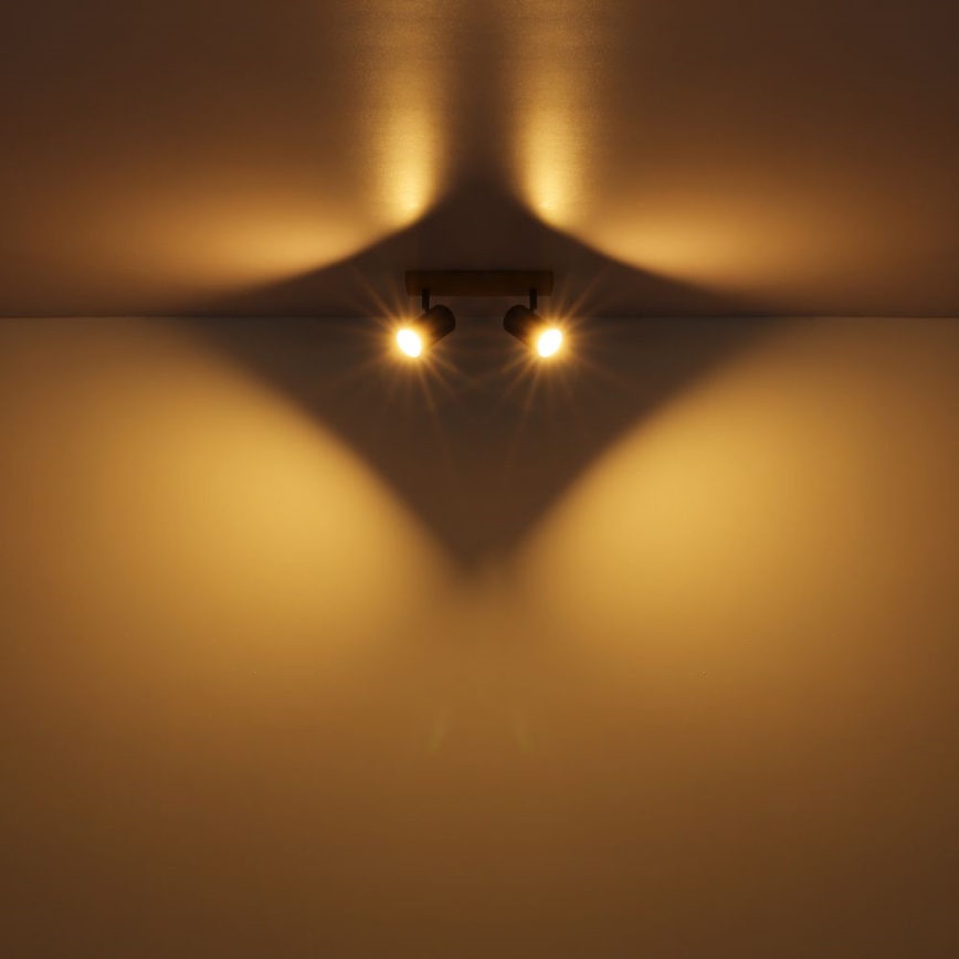 Globo - Reflektor 2xGU10/35W/230V siva/rjava