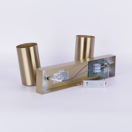 Globo - Reflektor 2xGU10/35W/230V zlata