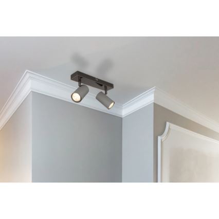 Globo - Reflektor 2xGU10/25W/230V