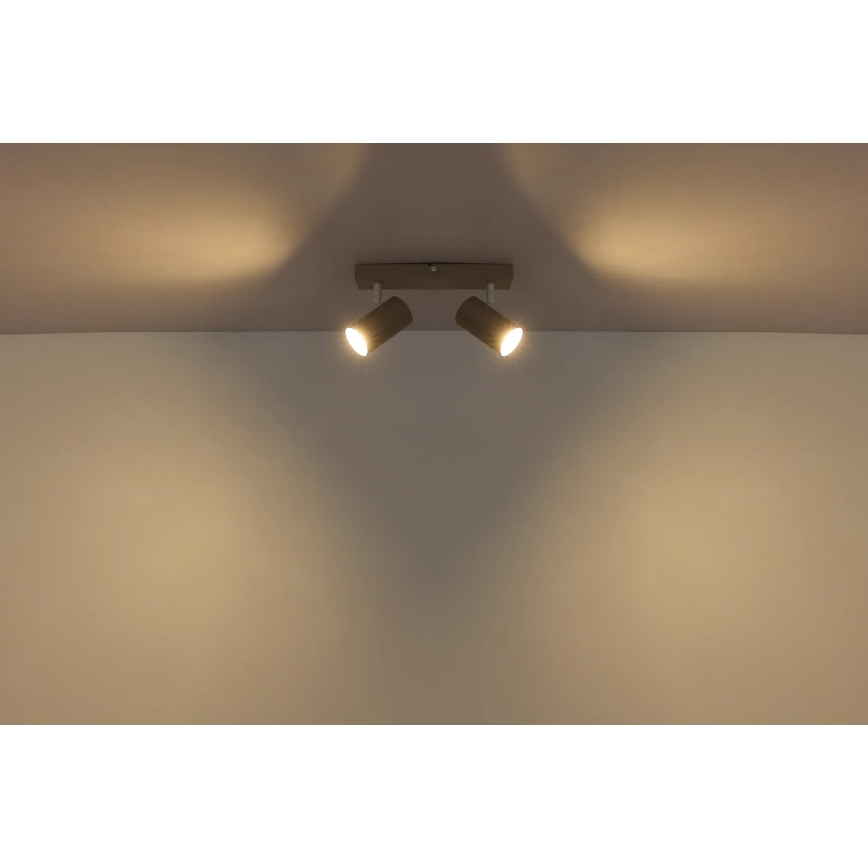 Globo - Točkovno svetilo 2xGU10/35W/230V