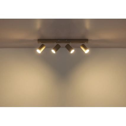 Globo - reflektorska svetilka 4xGU10/35W/230V