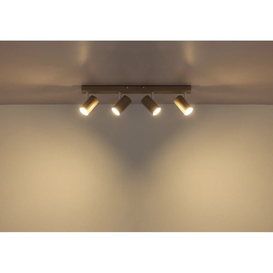 Globo - reflektorska svetilka 4xGU10/35W/230V