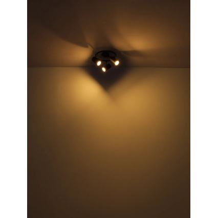 Globo - Reflektor 3xGU10/25W/230V črna