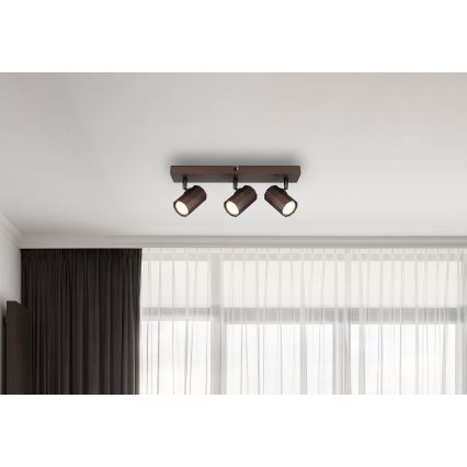 Globo - Reflektor 3xGU10/25W/230V rjava