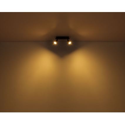 Globo - Reflektor 2xGU10/35W/230V črna