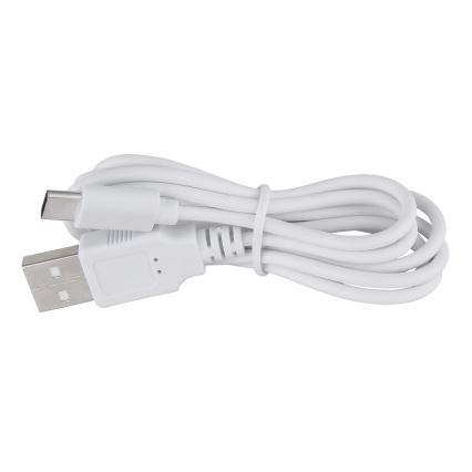 Globo - LED Zatemnitvena namizna svetilka na dotik LED/1W/3,7V 3000K 1800 mAh USB bela