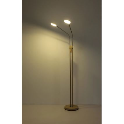 Globo - LED zatemnjiva talna svetilka 2xLED/6,5W/230V 2700/3350/4000K bež
