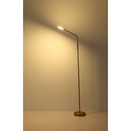 Globo - LED zatemnjiva stoječa svetilka na dotik LED/6,5W/230V 2700/3350/4000K medenina