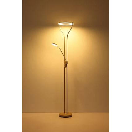 Globo - Zatemnjiva LED talna svetilka LED/20W/230V + LED/4W 3000K