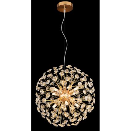 Globo - LED lestenec s kablom 8xG9/3,5W/230V v zlati barvi