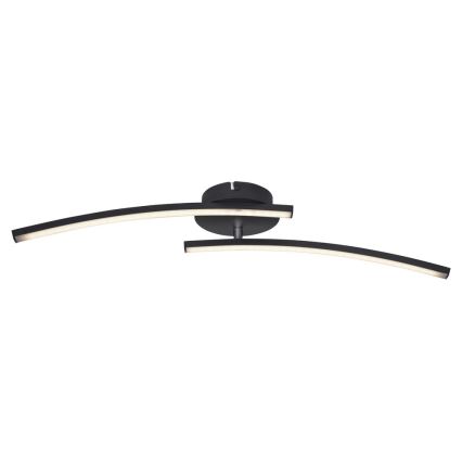 Globo - LED Nadgradni lestenec 2xLED/6W/230V 3000/4000/6000K