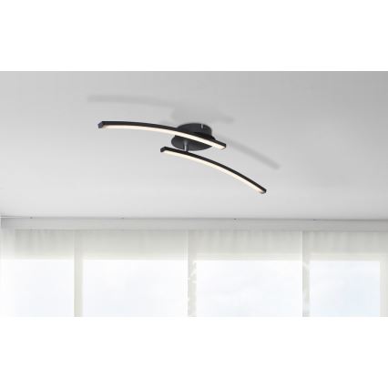 Globo - LED Nadgradni lestenec 2xLED/6W/230V 3000/4000/6000K