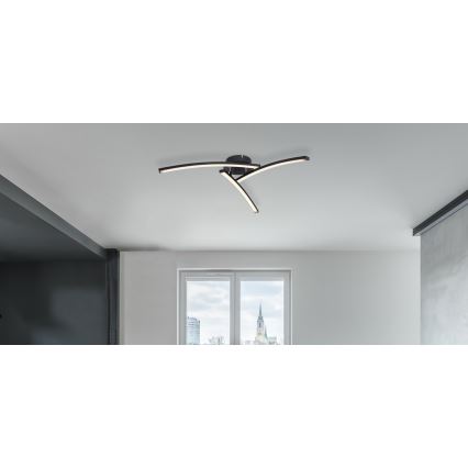 Globo - LED Nadgradni lestenec 3xLED/6W/230V 3000/4000/6000K
