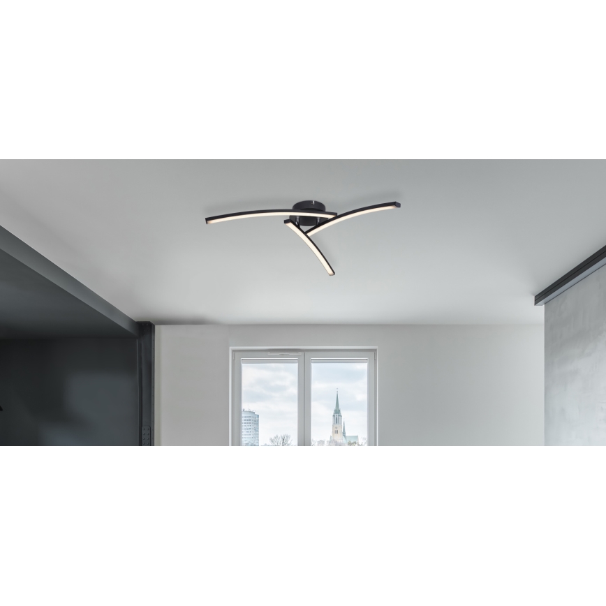 Globo - LED Nadgradni lestenec 3xLED/6W/230V 3000/4000/6000K