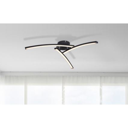 Globo - LED Nadgradni lestenec 3xLED/6W/230V 3000/4000/6000K